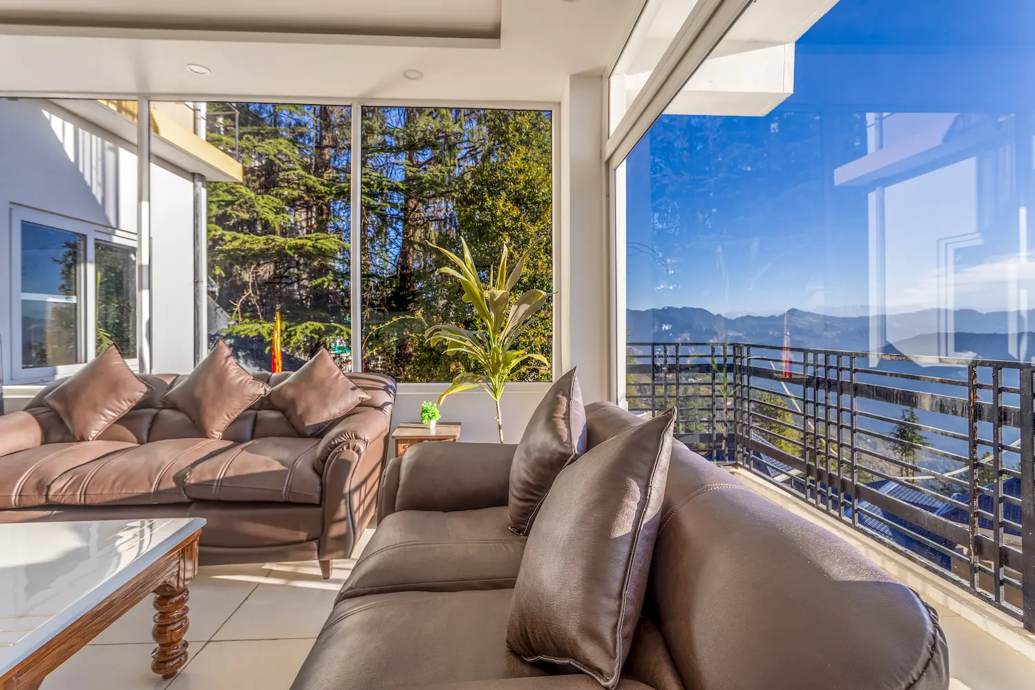 Sunlit corner of the living room where the sofas meet the balcony doors and the deodars